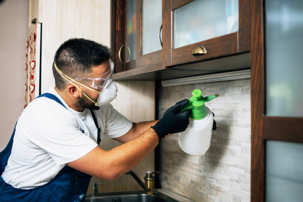 Pest Control for Restaurants in Dunnigan, CA