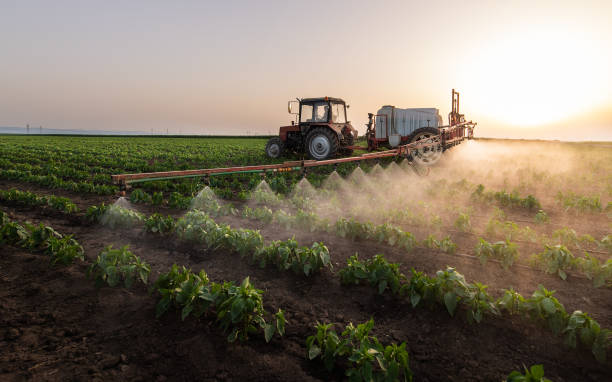 Best Pest Prevention Services  in Dunnigan, CA