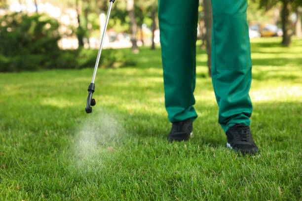 Best Pest Control Treatment  in Dunnigan, CA