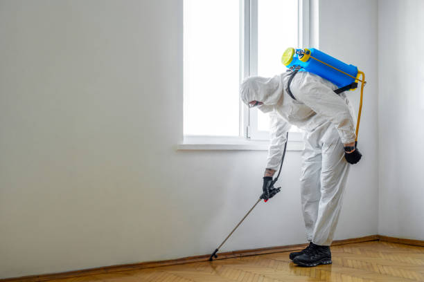 Reliable Dunnigan, CA Pest Control Solutions