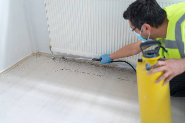 Best Affordable Pest Control Services  in Dunnigan, CA