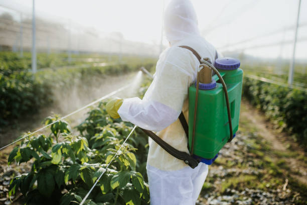 Best Exterminator Services  in Dunnigan, CA